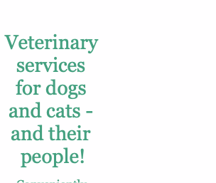 Veterinary services for dogs and cats - and their